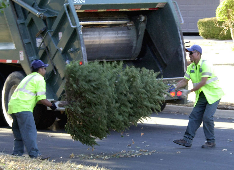 County workers picking up Christmas tree