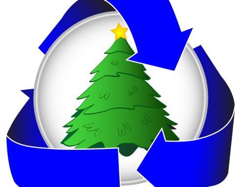 Here’s The Proper Way to Recycle Your Christmas Tree